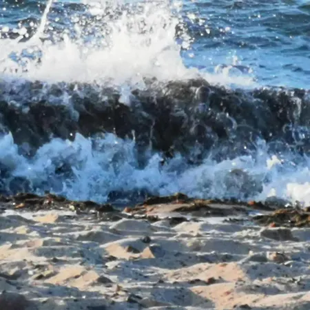 5 2 Bathrooms 1 Kitchen 1 Piano * Ostseebad Kühlungsborn