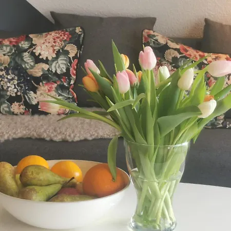 5 2 Bathrooms 1 Kitchen 1 Piano * Ostseebad Kühlungsborn